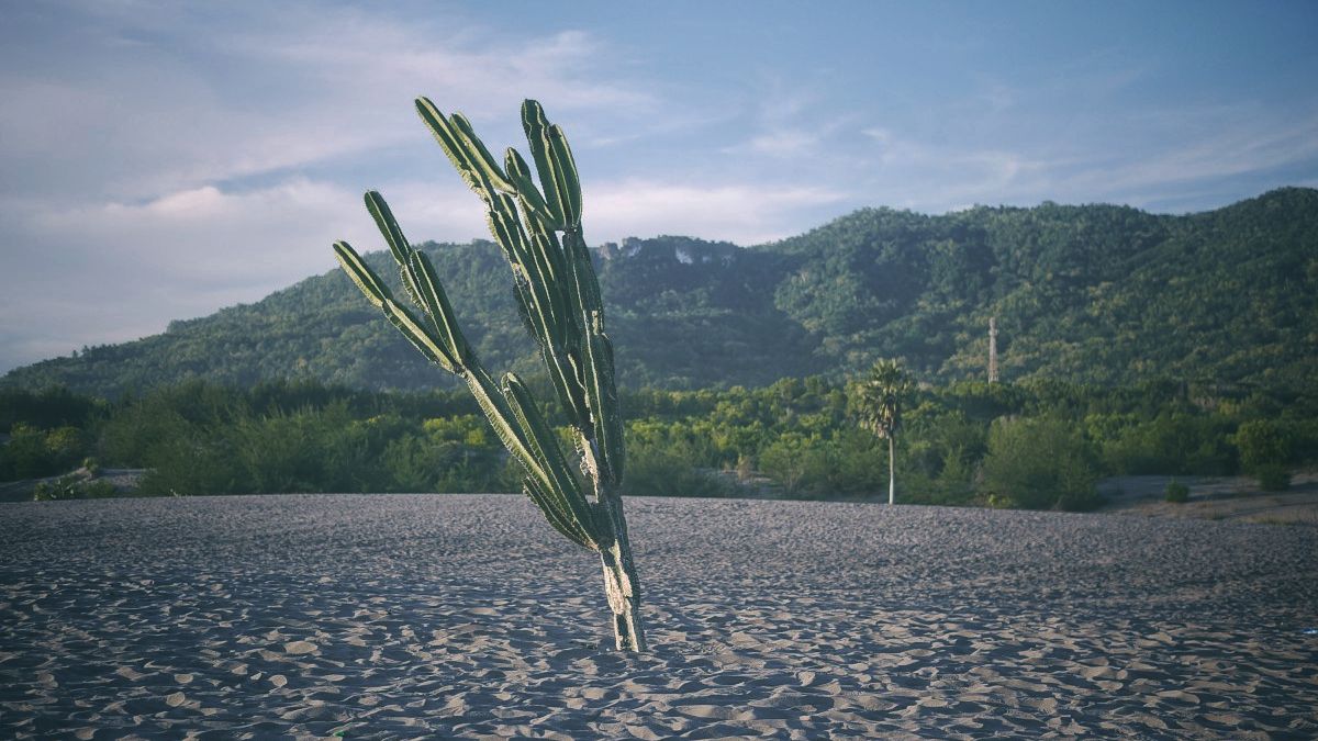 Gumuk Pasir Parangkusumo